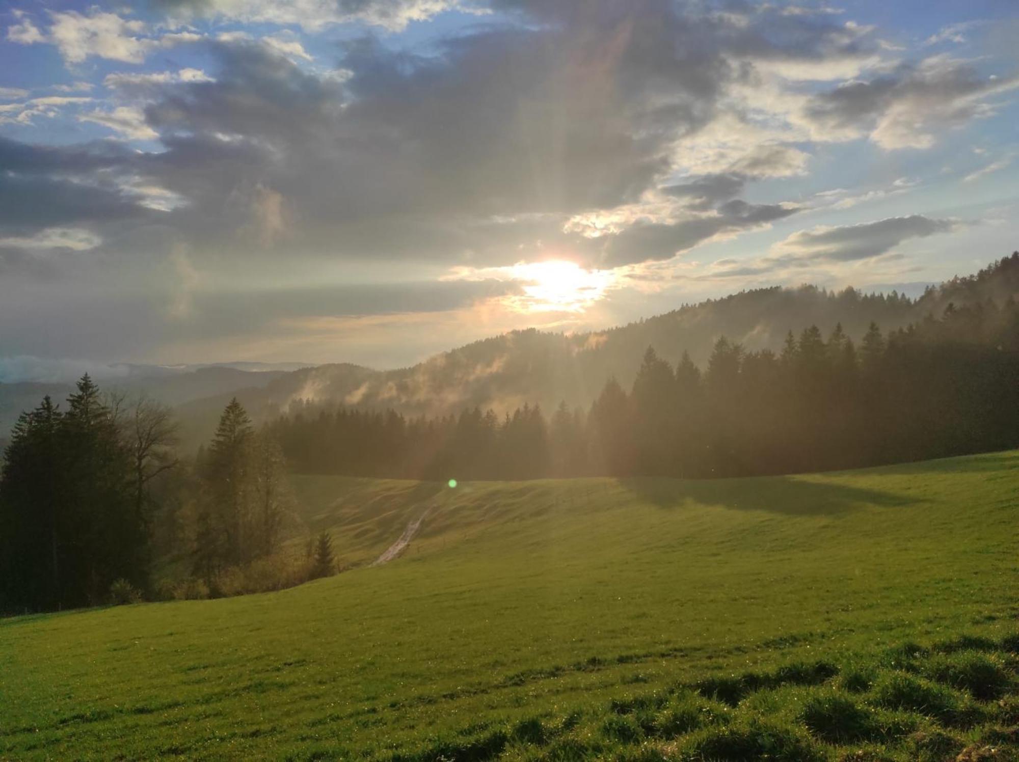 Sonnen-Juwel - Hallenbad-Sauna-2 Getrennte Schlafbereiche-Direkt An Der Skipiste Missen-Wilhams Exteriér fotografie