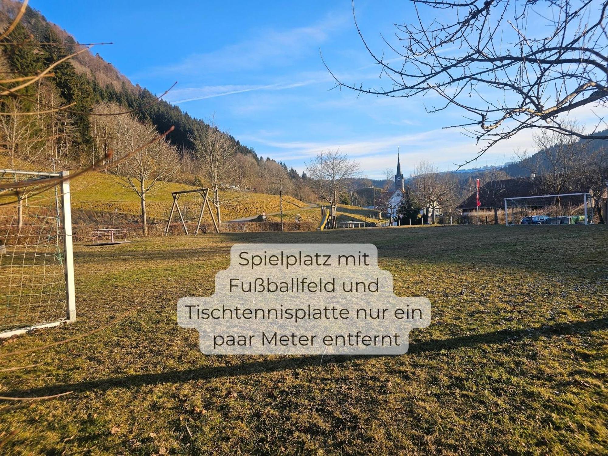 Sonnen-Juwel - Hallenbad-Sauna-2 Getrennte Schlafbereiche-Direkt An Der Skipiste Missen-Wilhams Exteriér fotografie
